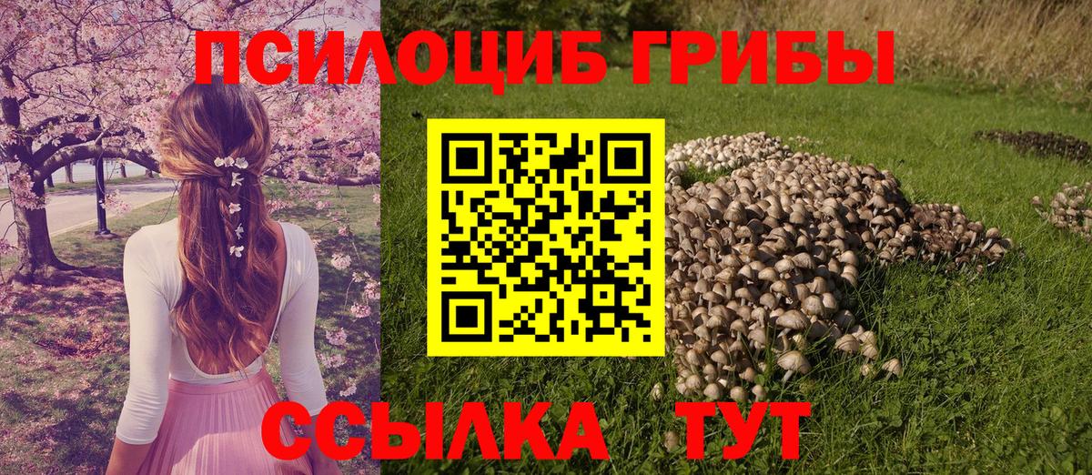 Псилоцибиновые грибы Psilocybine cubensis  Мытищи 